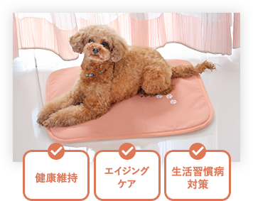 cbt_img01.png