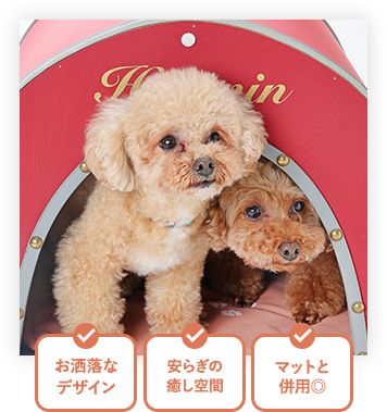 cbt_img02.png