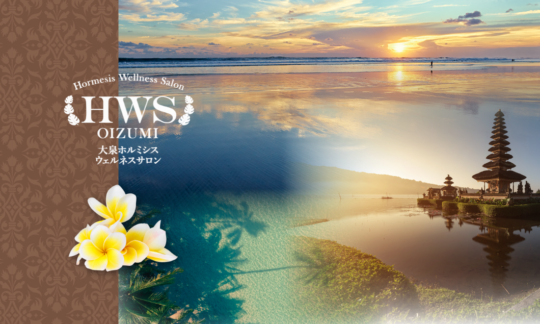 大泉ホルミシスウェルネスサロン – 「大泉ホルミシスサロン」は、東京